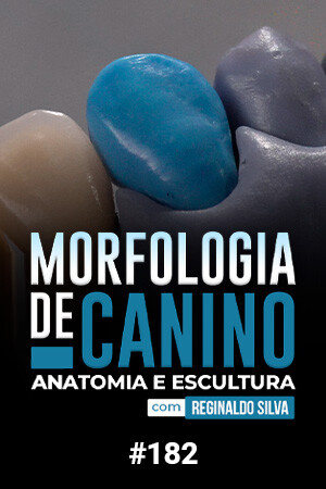 Morfologia de Canino. Anatomia e Escultura